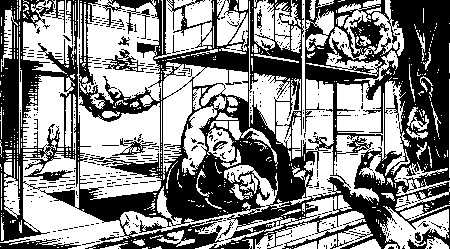 Panel from Steel Pulse #4
