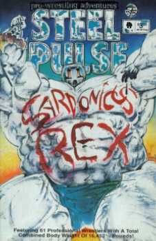 Steel Pulse #4